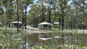 A campsite with several cabins surrounded by trees and a pond with lily pads. - Verdelho - Pokolbin Glamping eco-friendly Sleeps 2 (Pokolbin)