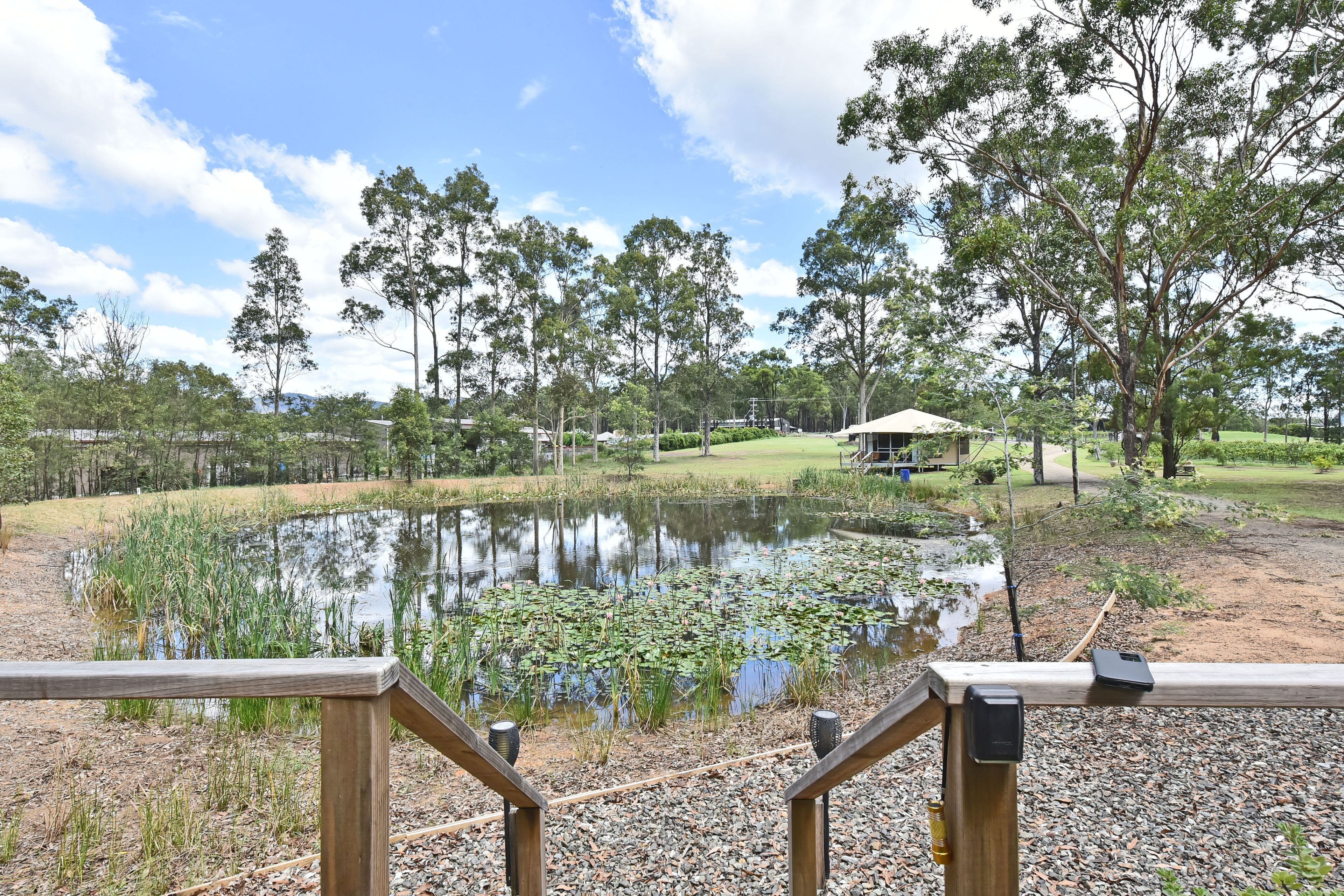 A wooden deck with a pond, surrounded by trees and a grassy area with a pavilion.