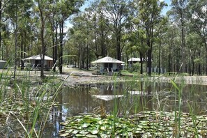 Property grounds - Verdelho - Pokolbin Glamping eco-friendly Sleeps 2 (Pokolbin)