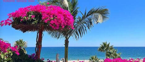 Villa | Overnattingsstedets uteområder