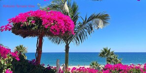Property grounds - Kokomo on the Beach With Heated Swimming Pool (Vera)