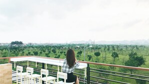 A woman sitting on a balcony with a view of a green field and distant buildings. - Room in House - Trang An Ao Dai Homestay - Double Room With Field View - Tam Coc Room (Hoa Lu)