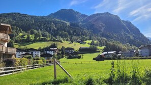 Property grounds - TUDOR STUDIO (Kaprun)