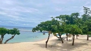 Una spiaggia con alberi e cielo sereno.