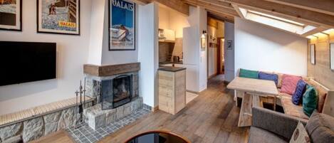 TV, fireplace, DVD player, books