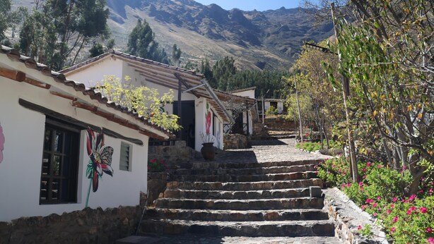 Unclassified image, 1 of 9, button