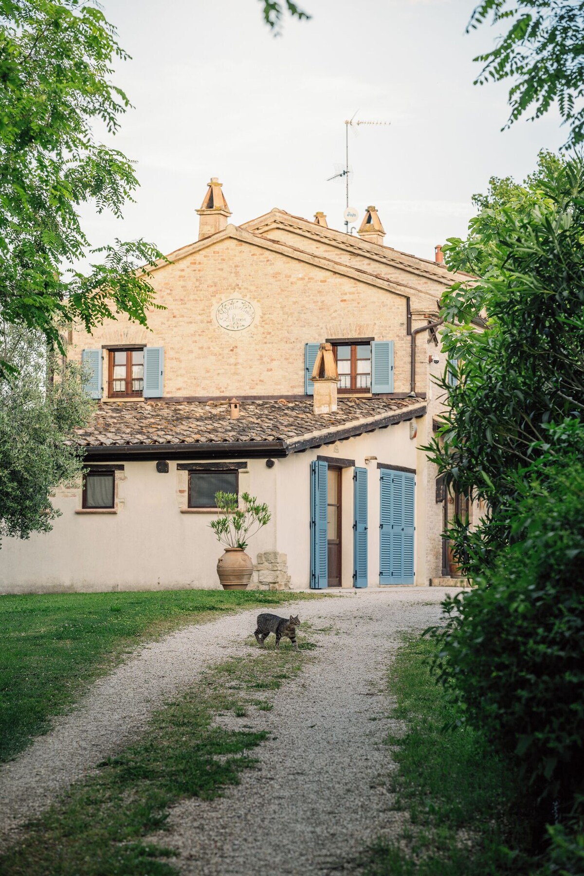 Image de profil de l’hôte