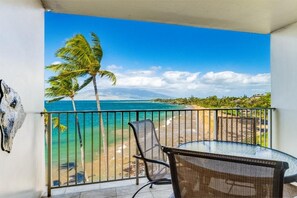 Un balcon avec vue sur une plage et des palmiers.