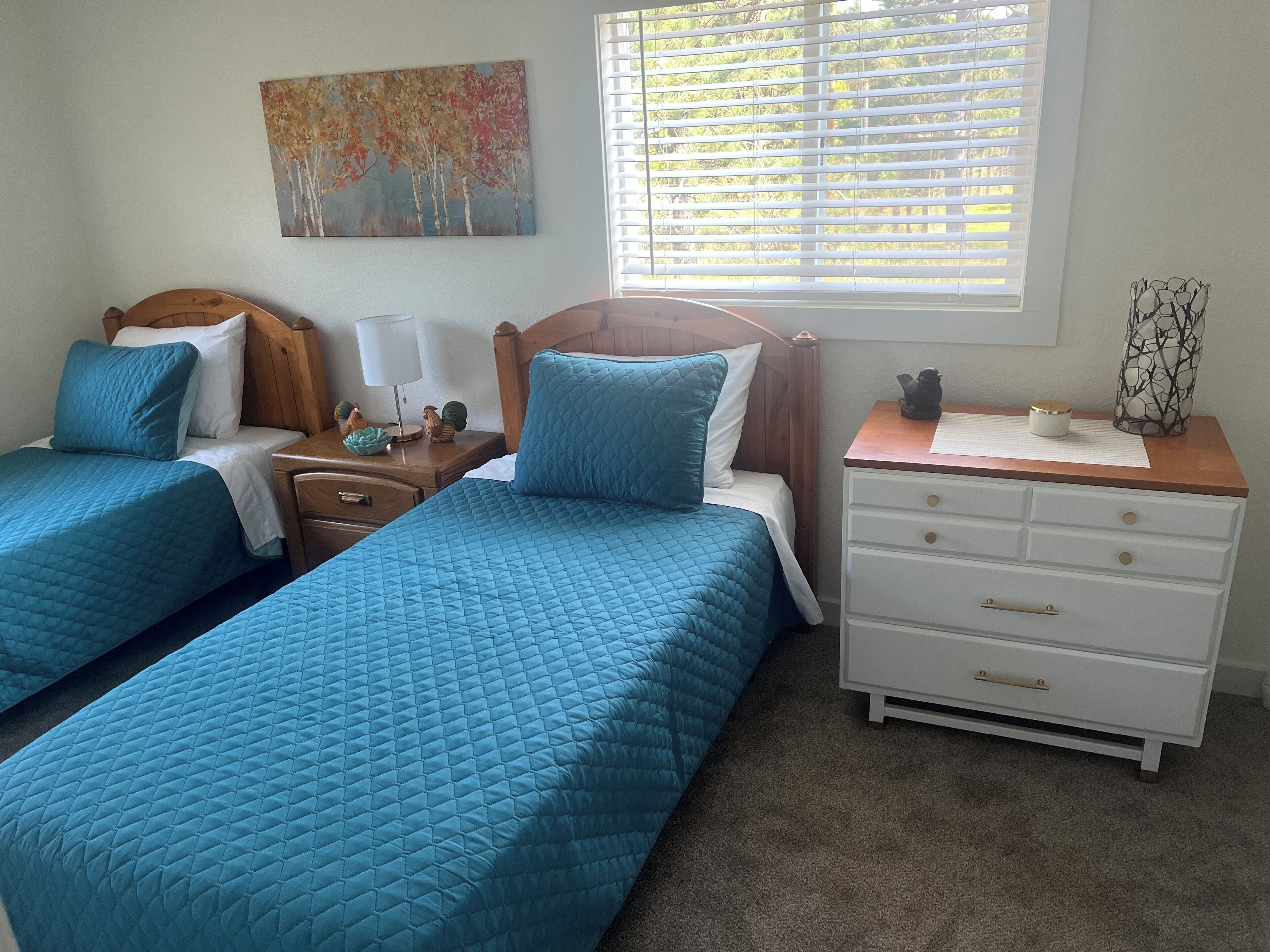 2 slaapkamers, een strijkplank/strijkijzer, gratis wifi, beddengoed