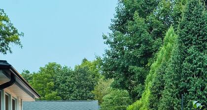 NEW! Charming Pet Friendly Modern Cottage in the Historic District of Saugatuck!