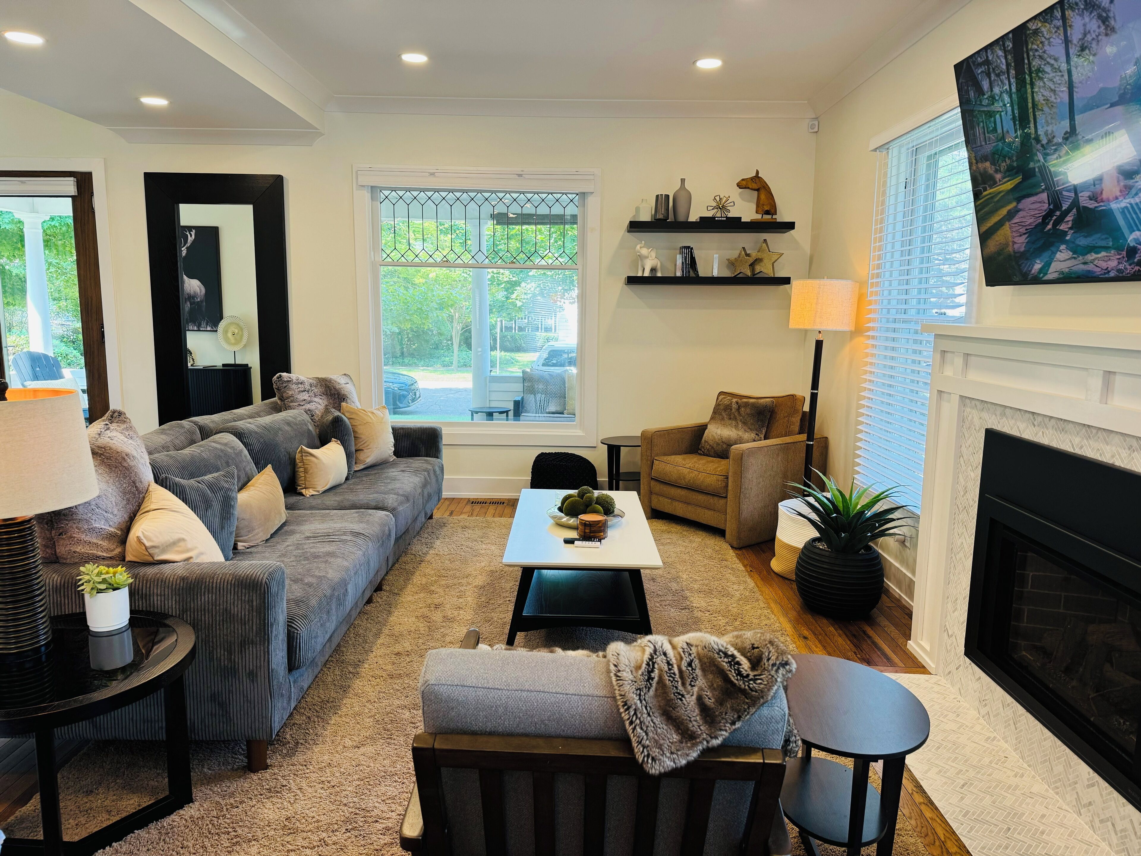 تلفزيون ذكي، مدفأة، كُتُب، شاشة كمبيوتر