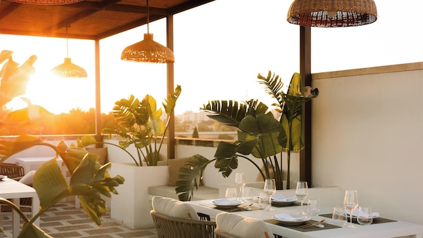Un espace de restauration en plein air avec une table blanche dressée pour quatre personnes, entourée de chaises en osier et de grandes plantes tropicales.