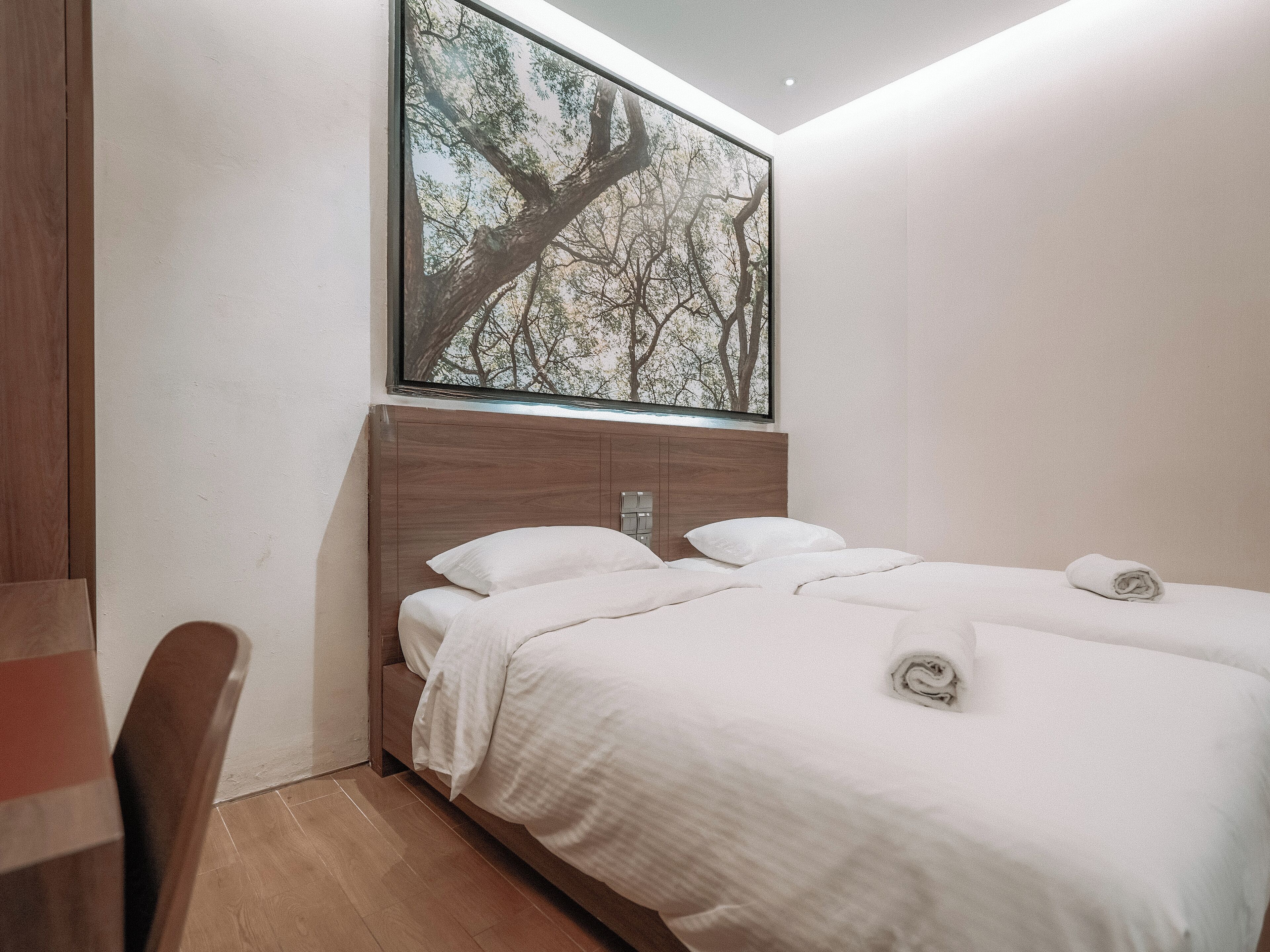 A modern hotel room with a wooden headboard, a large window with a tree view, and a neatly made bed with towels.