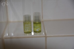 Douche, séchoir à cheveux, bidet, serviettes fournies