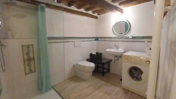 Shower, hair dryer, bidet, towels