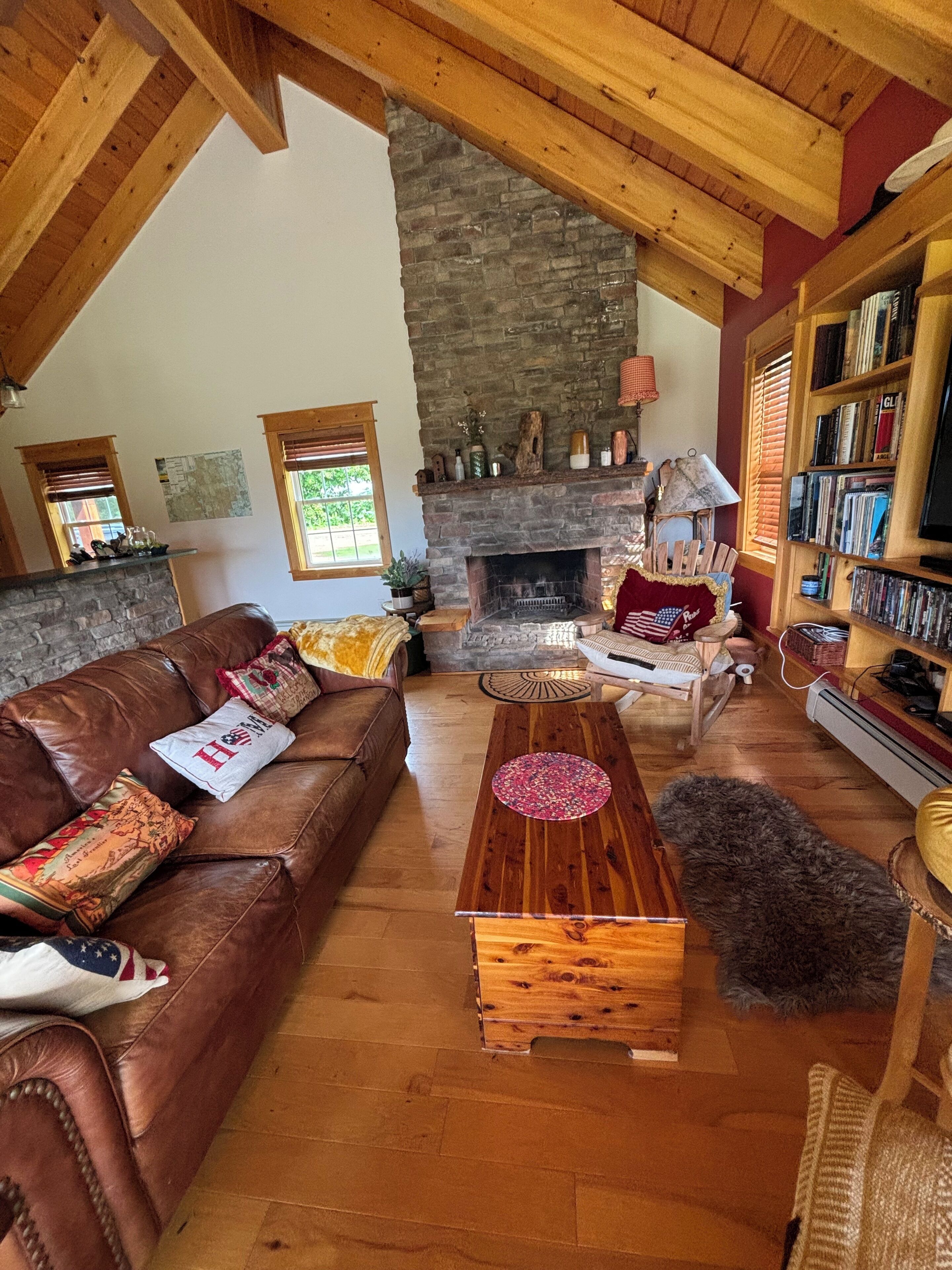 TV, caminetto, libri