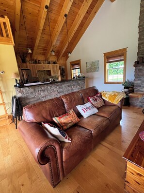 TV, fireplace, books