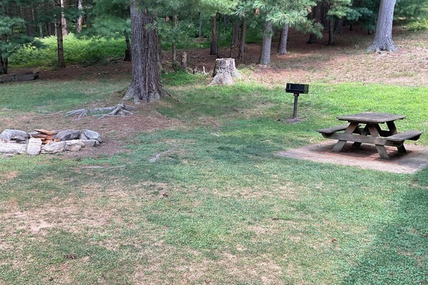 Servei de restauració a l'aire lliure