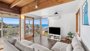 Smart TV, fireplace, DVD player, books