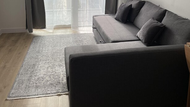 A living room with a grey sofa, a patterned rug, and sheer curtains. - New Cosy London Apartment With Garden View (London)