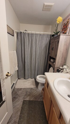 Regadera, secadora de cabello, toallas, jabón 