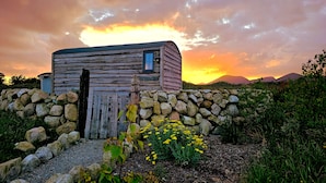 A rustic wooden cabin with a door and window, surrounded by a stone wall and a garden with yellow flowers. - Shephards Hut in the Mournes with Private Hot Tub- The Robins Nest at Willowtree (Annalong)
