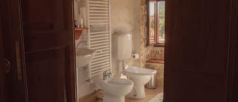 Shower, hair dryer, bidet, towels