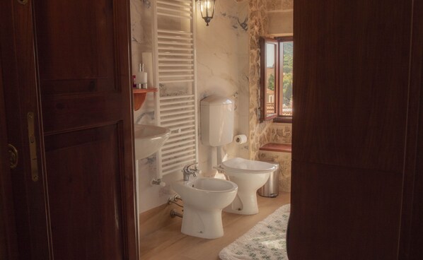 Regadera, secadora de cabello, bidet, toallas 