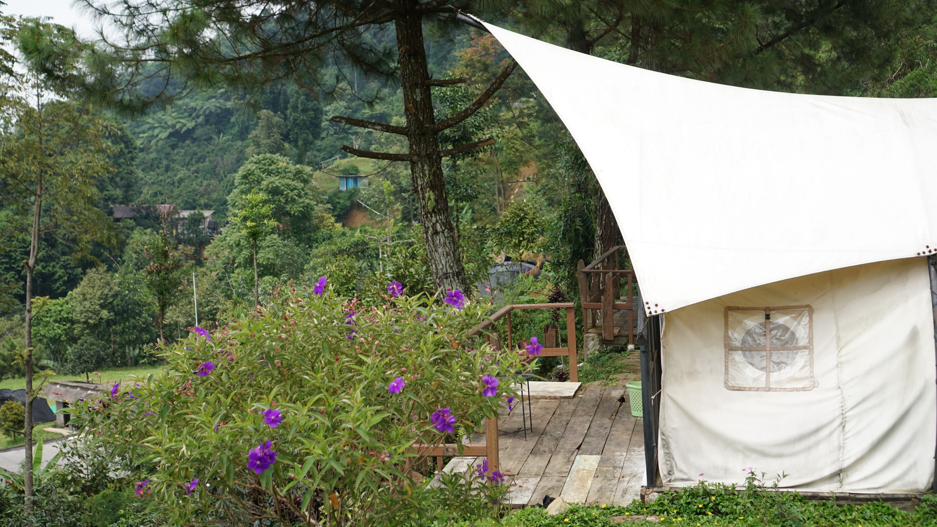 Design-telt | 1 soveværelse