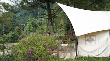 Design-telt | 1 soveværelse