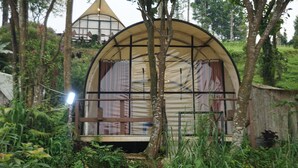 Una casa árbol con techo curvo, rodeada de abundante vegetación.