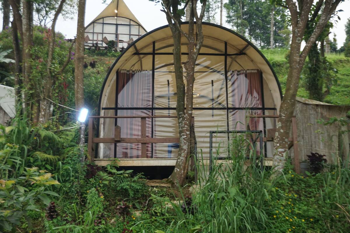 A treehouse with a curved roof, surrounded by dense greenery.