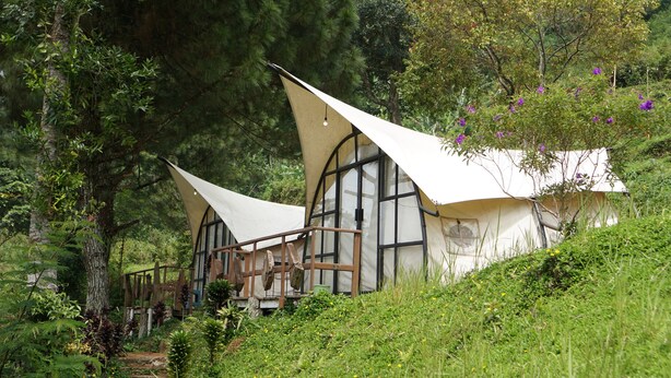 Una casa en los árboles con terraza de madera y ventanas amplias, rodeada de exuberante follaje.