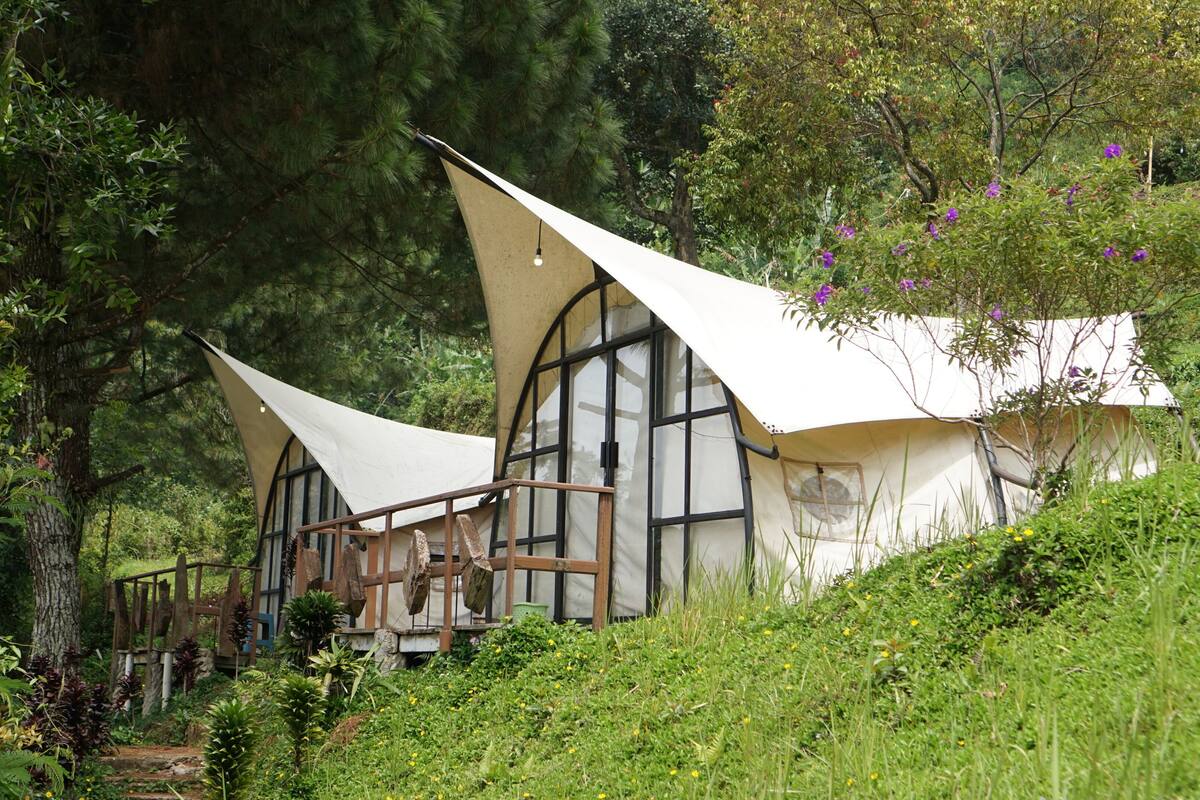 Camp Pinus | 1 bedroom