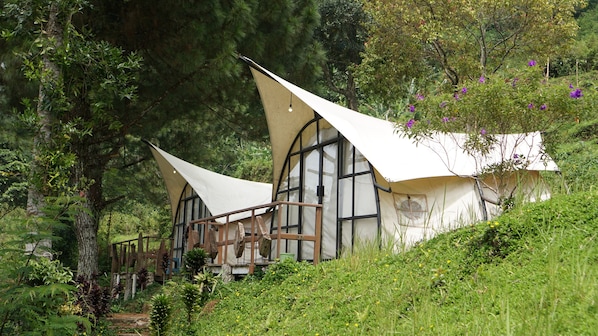 Tält Deluxe | 1 sovrum