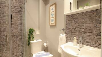 A modern bathroom with a stone wall, a glass shower enclosure, a toilet, a sink, and a framed picture on the wall.