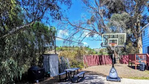 Canasta de baloncesto, mesa de picnic y una aspiradora en un patio trasero.