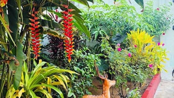 Jardín