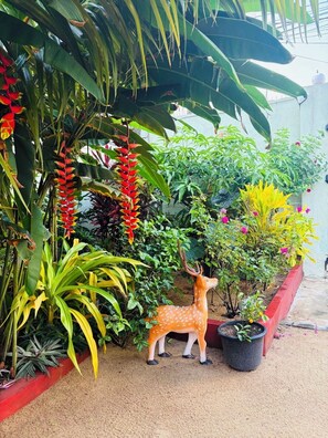 Jardín