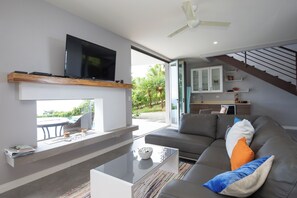 Smart TV, books, video library