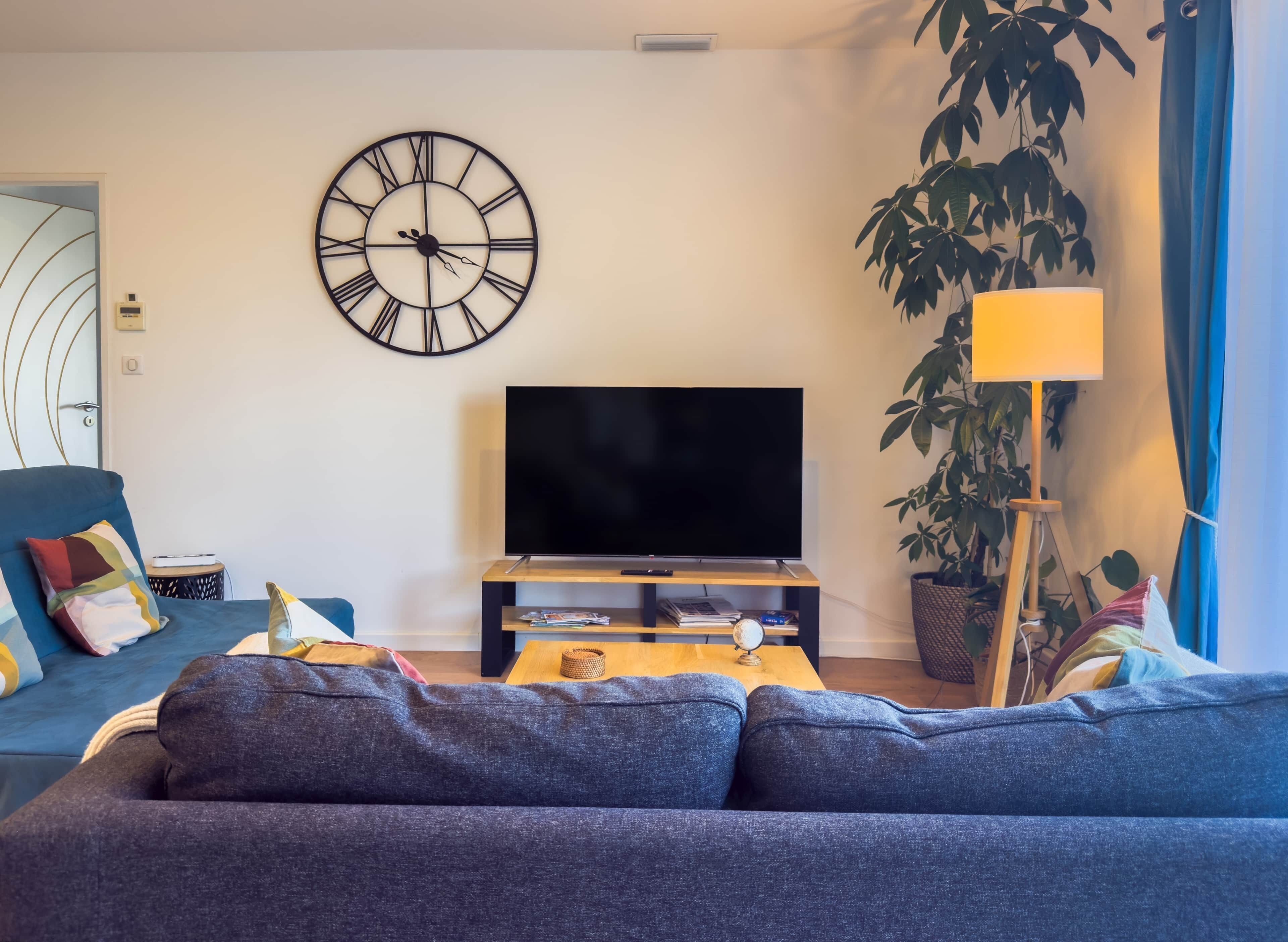 TV