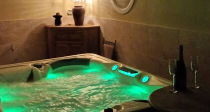 TrÚs beau meublé vacance, clim jacuzzi, jardin,tout confort !