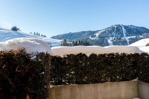 Property grounds - 250m from shops, Ground floor, view mountain, terrace, tv, ski locker, 21m², La Clusaz (La Clusaz)