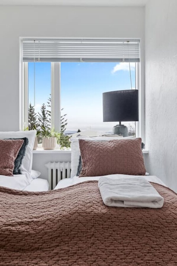 2 bedrooms, iron/ironing board, free WiFi, bed sheets