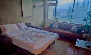 2 室のベッドルーム、アイロン / アイロン台、WiFi (無料)、ベッドシーツ