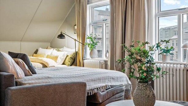 A modern loft bedroom with a large bed, a sofa, a small table, and a potted plant.