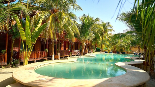 Zona de piscina con palmeras, terraza de madera y un edificio con balcones.