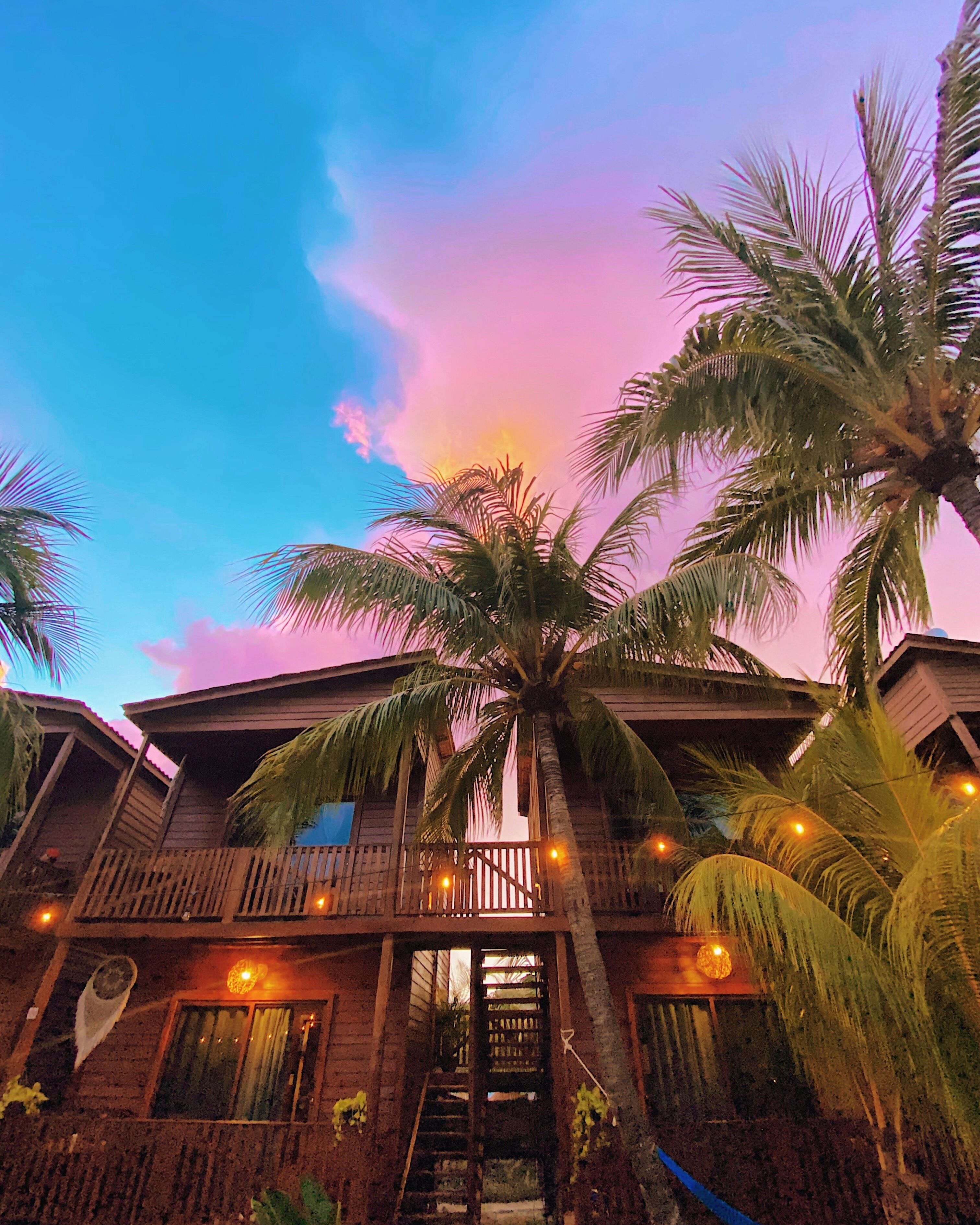 Foto - Coconut by ÓOL Hotels
