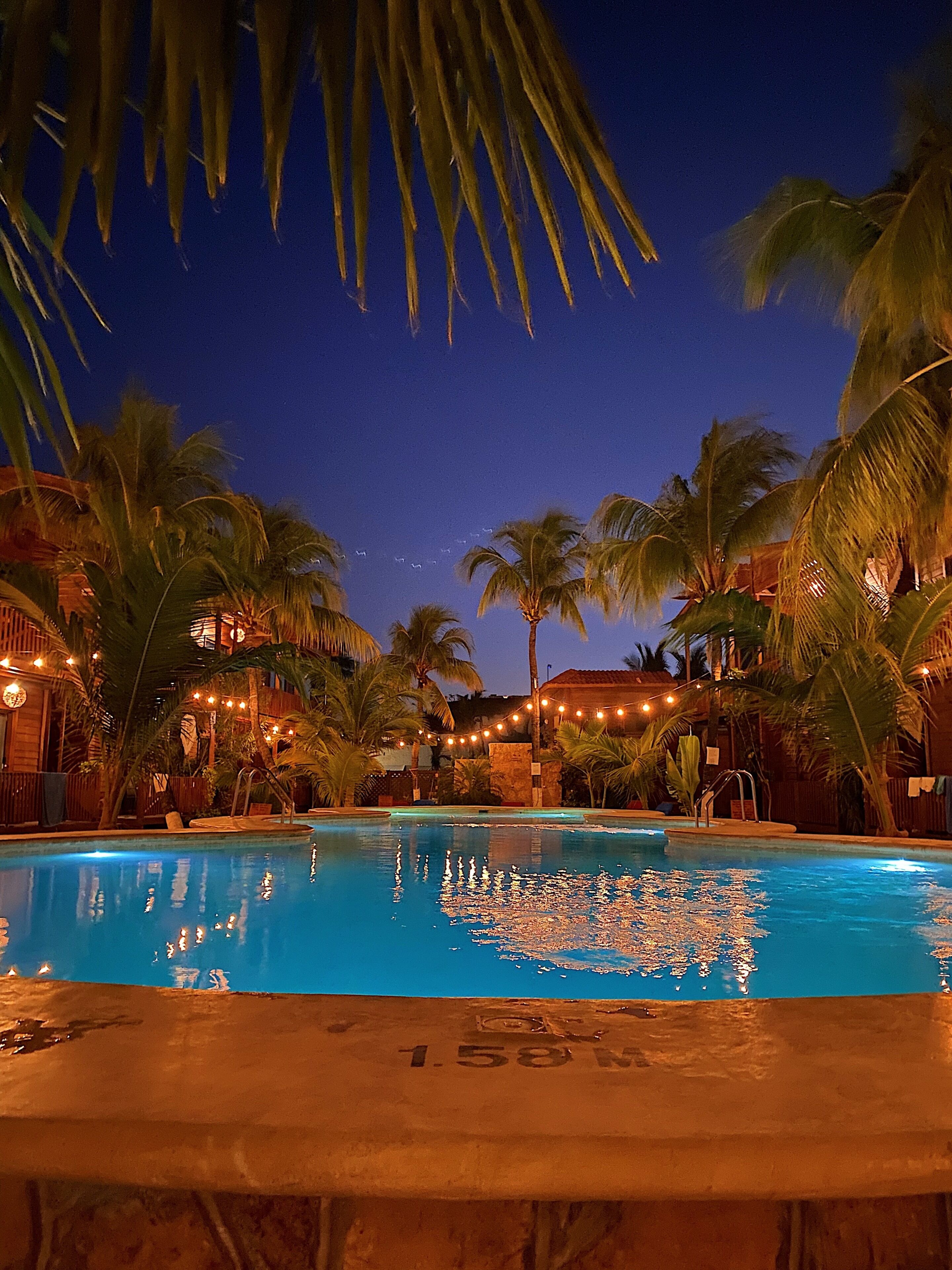 A nighttime pool area with palm trees and string lights, surrounded by buildings.