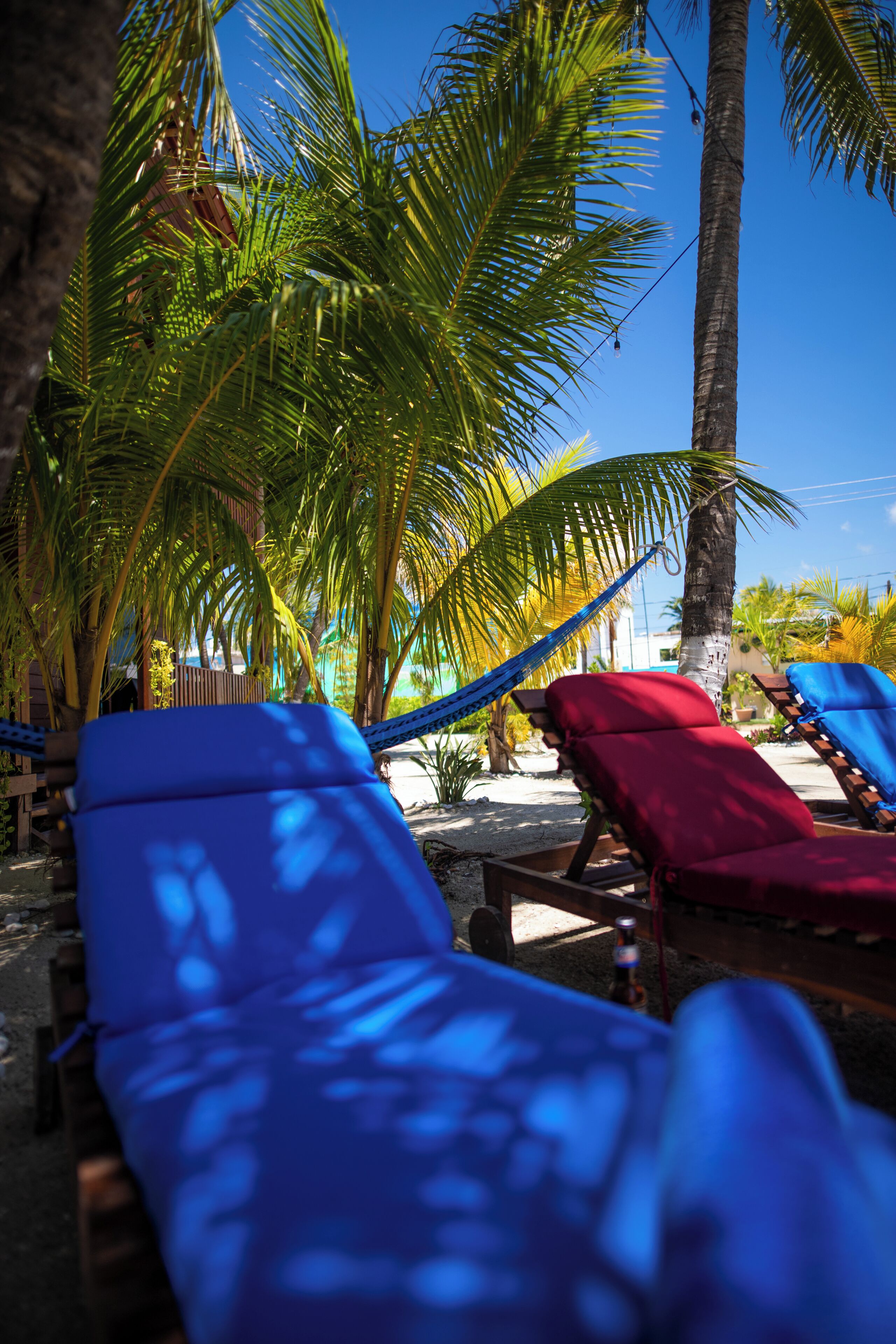A beachside lounge area with sun loungers and a hammock.